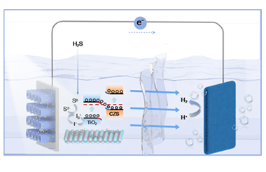 Boosting H2S conversion with S-scheme Cd0.5Zn0.5S/TiO2 nanotube arrays photoanode 2026.100961
